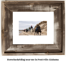 horseback riding near me in Prattville, Alabama